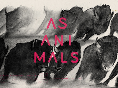 "As Animals", single artwork animals artwork buffalo cover music