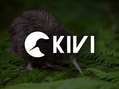 Kivi Logo art design kivi kiwi logo modern