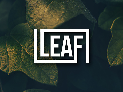 Leaf Logo art design leaf logo minimalism