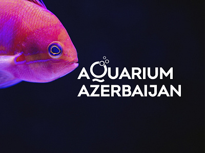 Aquarium Azerbaijan Logo aquarium design fish graphicdesign illustration logo logo animal logoaquarium logodesign logodesigner logotype