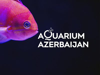 Aquarium Azerbaijan Logo