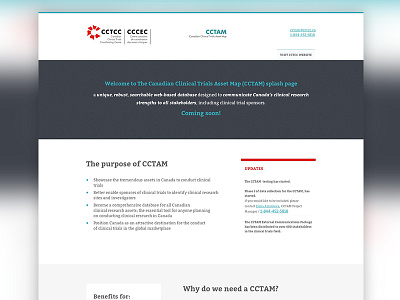 Clinical Trials Simple Landing Page conservative design landing page minimal web design website