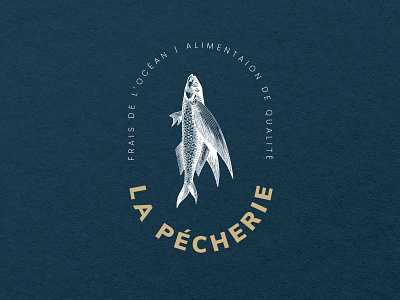 La Pécherie ⚓️ bordeaux creation design ecologie fish fishing illustration logo peche poisson responsable tradition