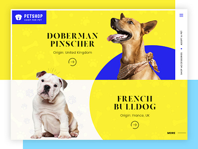 Pet Shop - Adopt Dog branding design ecommerce design illustration pets petshop photoshop responsive design ui ui ux uiuxdesign userinterface ux web