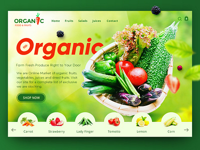 Organic Food & Fruits - Web Design