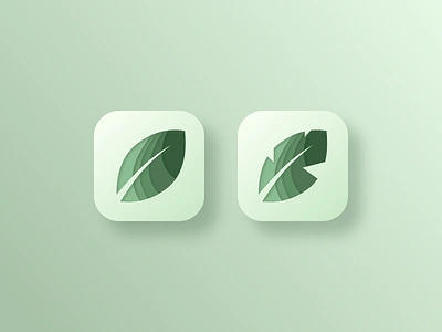 Daily UI 005: App Icon 005 app icon banana leaf branding calming clean daily ui daily ui 005 daily ui challenge design icon jungle layered leaf leaf motif logo minimalism mobile app ui vector