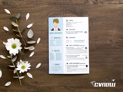 CVnew company profile cv cv design cv promotion cvnew graphic resume العراق تدريب ترويج تصميم توظيف سيرة ذاتية وظيفة