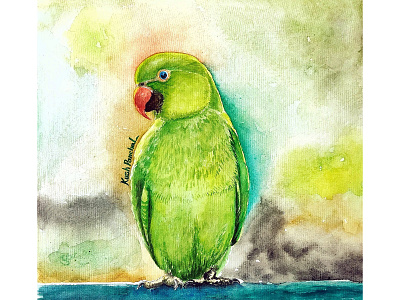 Parrot Bird graphic design parrot bird watercolor bird illustration