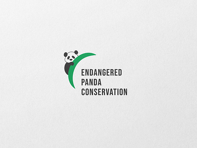 Brand Identity for Endangered Panda Conservation