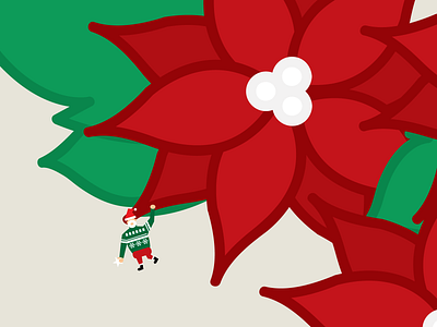 Poinsettia design graphic illustration