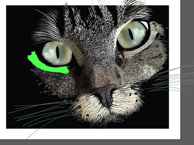 Little cat in 14 hours adobe illustrator cat