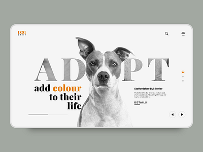 Adopt a Pet adobe adobexd adopt design designer dog interaction design landingpage minimal minimalist pet pets rapidgems rapidgems studio ui uiux web xd