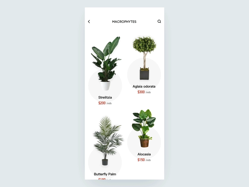 Rental Plants add card plant rent ui