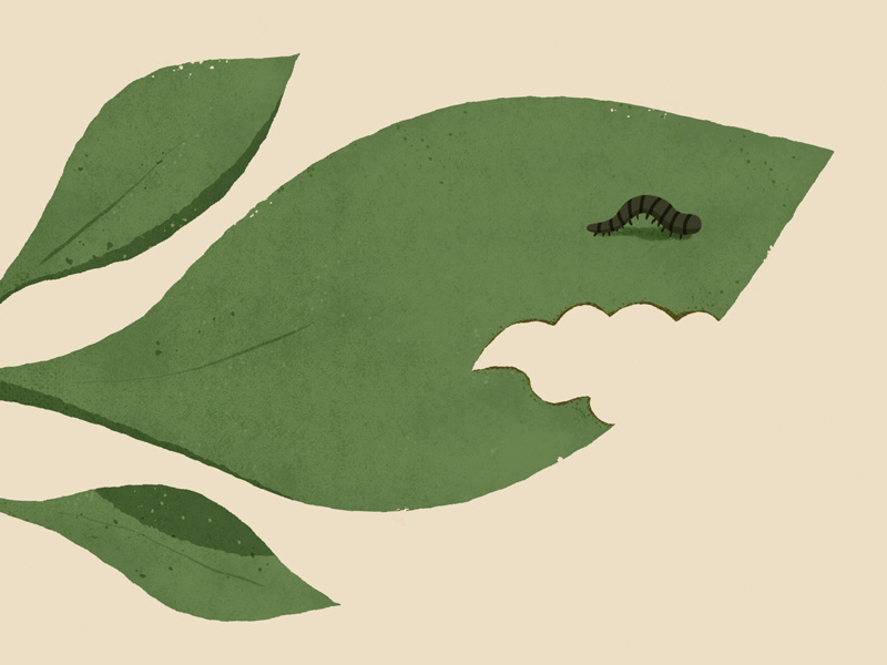 Do Plants Feel The Pain? by Laurent Duvoux on Dribbble