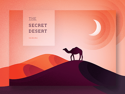 The Secret Desert camel desert flat illustration moon orange purple sahara sand ui web