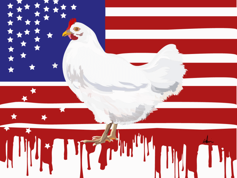 Full Chicken_Barr branding chickenbarr democracy design illustration political political campaign poster truth seeker unbarbarr
