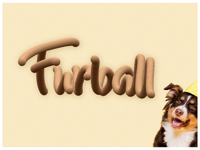 Furball -  3D Typography Illustration