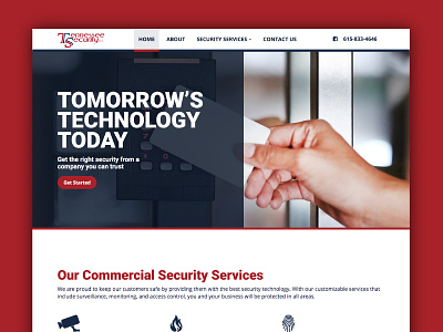 Website Design - Tennessee Security design graphic design responsive web design web design