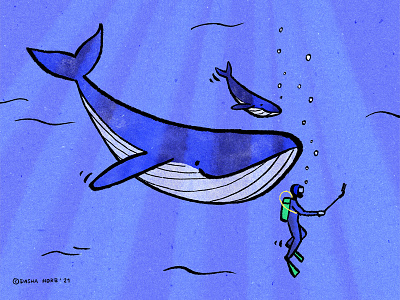 Swim and take selfies with whales artist digital illustration drawing dreams illustration illustration art illustrator lockdown ocean procreate restrictions sea selfies simple illustration sketch sketches swimming underwater whale whales