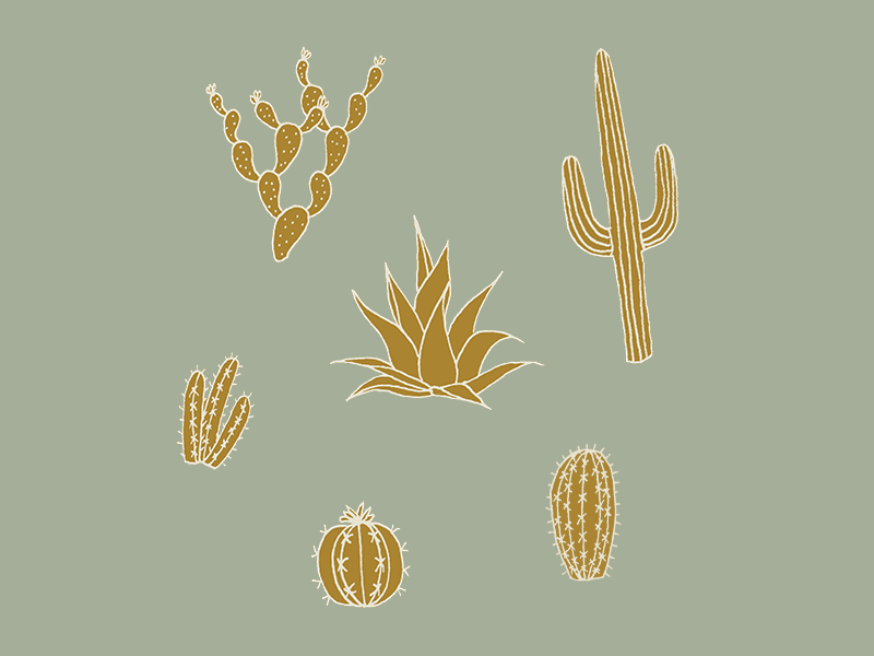 Happy Cacti! animation gif graphic design illustration