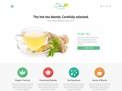 Hot Tea food and beverage food and drink joomla joomla template responsive responsive design tea template