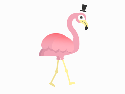 Flamingo Dribbble animation bird design illustraiton vector walkcycle wyzowl