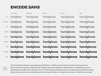 Encode Sans 45 Free Fonts