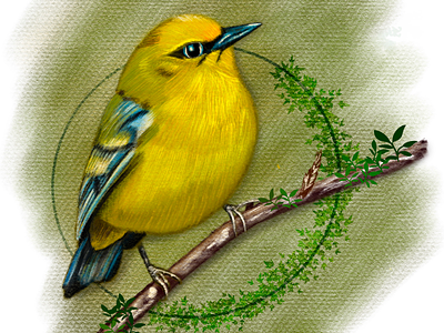 Free drawing bird 2d art bird character drawing green illustration procreate yellow