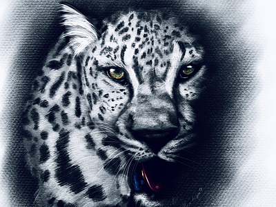 Digital illustration leopard animals art digital drawing illustration leopard painting pencil