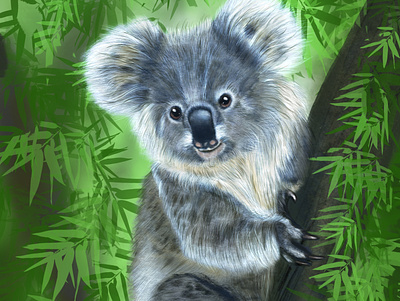 cute koala illustration 2d abstract art artist artwork design digital effects flat graphics illustration vector