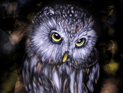 digital owl 2d abstract animal artwork design digital digital art effects fun nature art painting