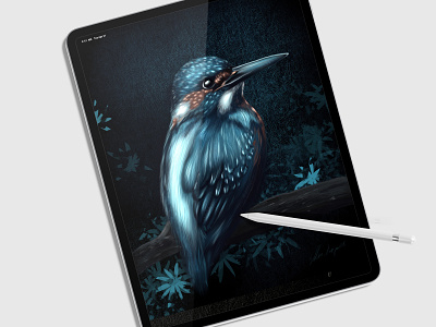 digital bird artwork bird design digitalart digitaldrawing illustration nature procreate