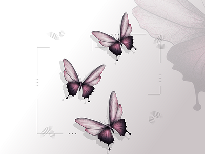 Butterfly print abstract artwork butterfly design illustration print
