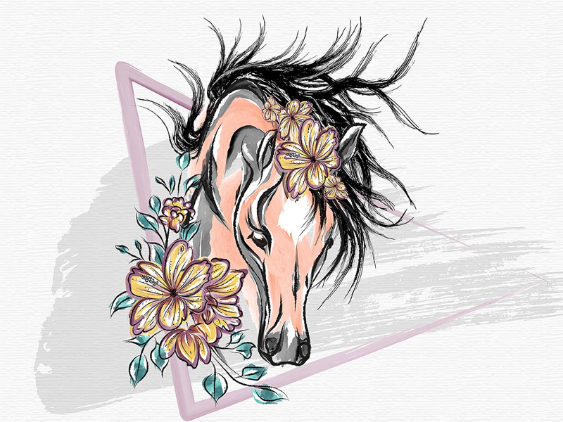 Horse illustration by Elena Ani on Dribbble