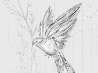 Free drawing abstract artwork bird design digital drawing illustration procreate