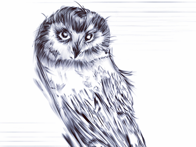 Free drawing owl