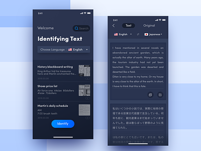 Identifying Text APP app appdesign card chinese conceptual design dark english japanese language outsource redesign translate user experience