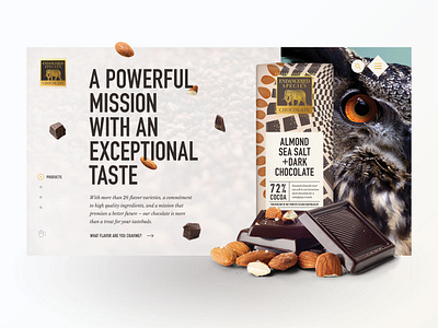 Chocolate for a Cause animals chocolate homepage user experience user interface website design