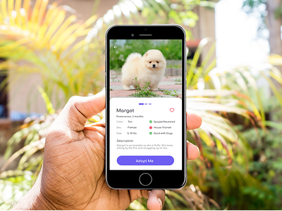 Pet Adoption App