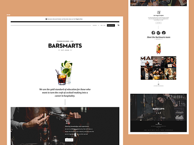 Barsmarts Site proposal debrain site sitedesign typography ui uidesign webdesign website