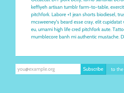 Hipster Ipsum blue cabin email newsletter subscribe teal white