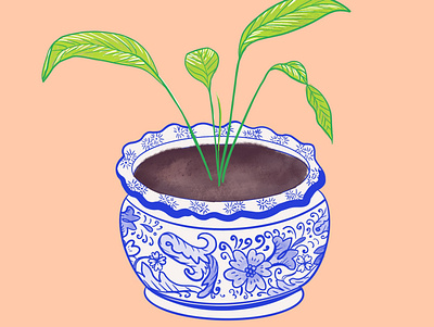 Blue and White Pottery Plant blue and white houseplant illustration plant illustration planter plants pottery procreate