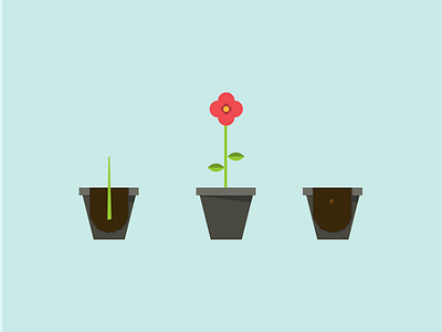 Illustrations for a flowering plant flower garden gardening illustration minimal plant pot