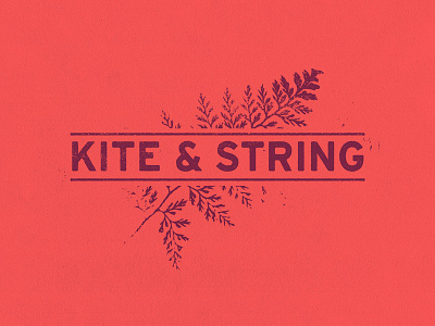 Kite & String botanical fern kite logo mark print string texture