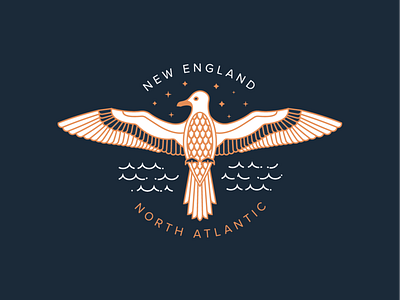 Monoline Seagull apparel atlantic bade bird illustration monoline new england ocean seagull