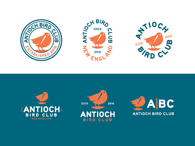 Bird Club Logo Concepts animal bird brandmark club flat illustration lockup logo modern silhouette