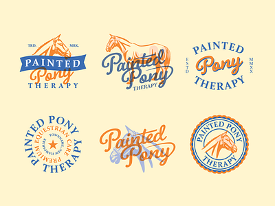 Painted Pony - Concepts