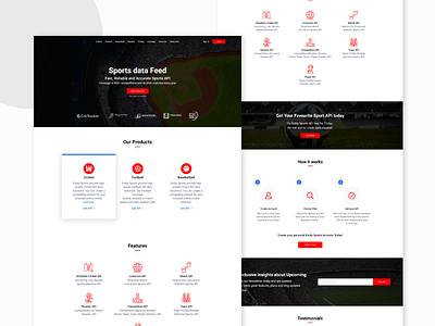 Cricket API Service Website Design