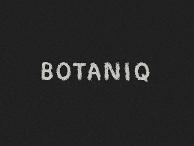 Botaniq branding hand lettering logo needles pine