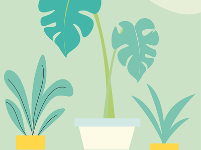 Plants 🌿 green illustration plants